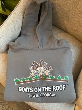 Youth Gray Hoodie - Goats on the Roof Tiger, Georgia *READ*